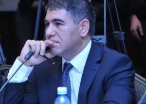 “Yalnız bu halda iqtisadiyyat neft gəlirlərinin azalmasından sığortalana bilər”