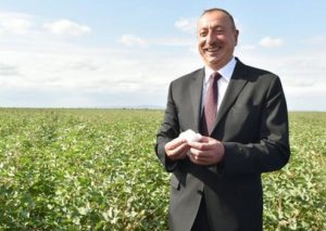 İlham Əliyev icra başçılarına: 'Xaricə getmək, orada investorları inandırmaq lazımdır ki, sərmayə qoysunlar'