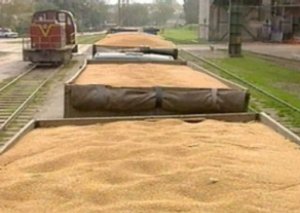 ​Qazaxıstan Azərbaycana 416,8 min ton buğda ixrac edib