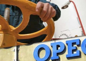 OPEC-dən noyabr gözləntisi - bəyanatlar bazarı çalxalayır