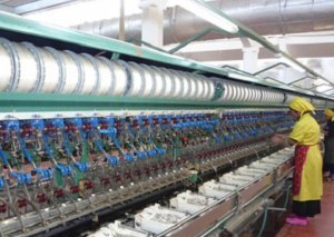 İpəkçiliyin və fındıqçılığın inkişafına 1,463 milyon manat ayrıldı-