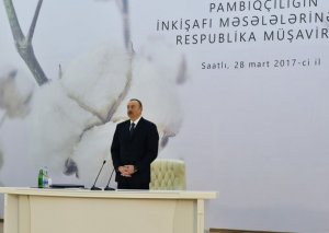 "Pambıqçılığa çox böyük dövlət dəstəyi göstəririk"
