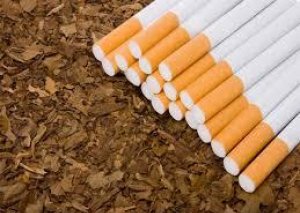 Tütünün keyfiyyətinin artırılması üçün Azərbaycana xarici mütəxəssislər cəlb edilməlidir
