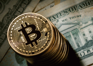 Bitcoinə sərmayə qoymaq, qumar oynamaq qədər risklidir
