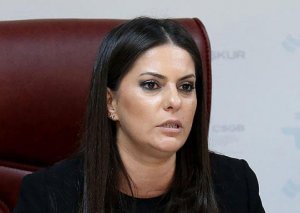 Türkiyənin əmək və sosial müdafiə naziri Azərbaycana gələcək