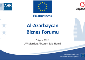Bakıda Aİ-Azərbaycan biznes forumu keçiriləcək