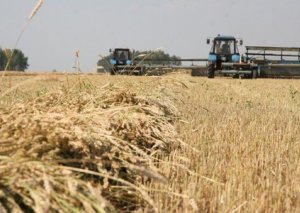 Azərbaycanda aqrar sektor 9% böyüyüb