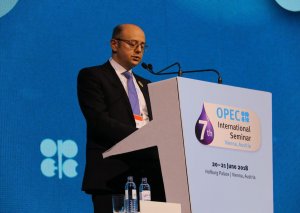Pərviz Şahbazov: Gələcəkdə neftə qlobal tələbatın ödənilməsində çətinliklər ola bilər