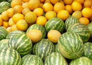 Qarpız-yemiş niyə bahalaşıb? - Ekspert əsl səbəbləri açıqladı
