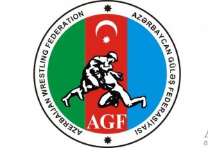 Azərbaycan Güləş Federasiyasının rəhbərliyində dəyişiklik olub