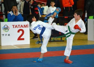 Sumqayıt Olimpiya İdman Kompleksində klublararası ənənəvi karate turniri keçirilib