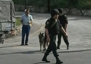 Azərbaycanın Rusiya ilə sərhədində "sərhəd-sipər" əməliyyatı