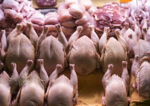 Azərbaycanda broyler toyuqlarının istehlakı məhdudlaşdırılacaq?