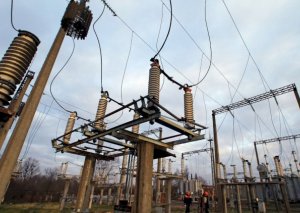Siyəzəndə 6 baş inəyi elektrik vurub öldürdü
