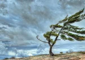 Qar, leysan yağır, külək əsir - FAKTİKİ HAVA