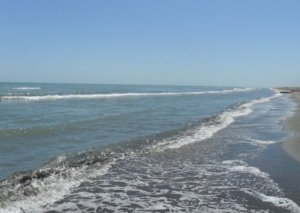 Bakıda ana 3 günlük körpəsini dənizə ataraq öldürüb