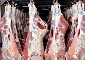 Ət yeyən qadınlara pis xəbər