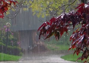 Yağışlı hava neçə gün davam edəcək: qorxulu PROQNOZ
