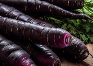 Kilosu 1 manata satılır, üzünə baxan yoxdur -