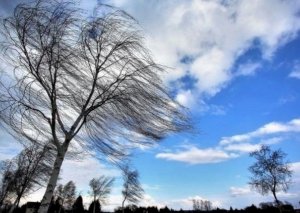 Hündür ağacların altında dayanmayın -Əhaliyə ÇAĞIRIŞ