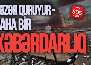 SOS: Xəzər quruyur - Daha bir XƏBƏRDARLIQ