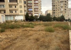 Yasamalda torpaq niyə bahadır? - 700, 800 min...
