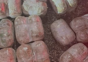 Sabunçuda 19 kiloqramdan artıq narkotik aşkarlanıb