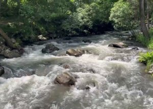 Kəlbəcərdə çaya düşən yeniyetmənin axtarışları aparılır - TƏFƏRRÜAT
