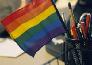 LGBT ilə bağlı qadağaların detalları açıqlandı