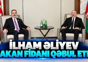İlham Əliyev Hakan Fidanı qəbul etdi