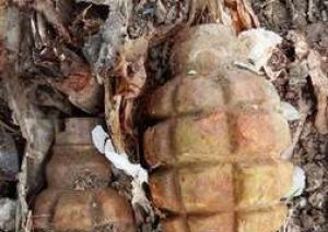Göygöl rayonunda F-1 əl qumbarası aşkar edilib - FOTO