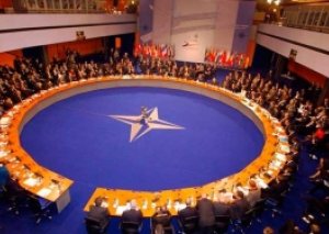 NATO-dan Qarabağ haqda mövqe