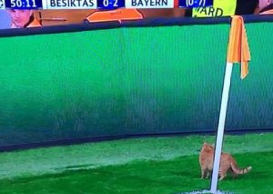 UEFA “Beşiktaş”ı cəzalandıracaq